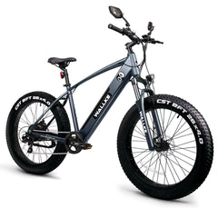 Wallke F2 Electric Bike with 26*4.0 Inch CST Fat Tire Wallke F2 Electric Bike with 26*4.0 Inch CST Fat Tire