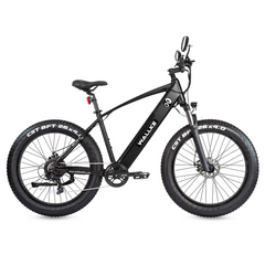 Wallke F2 Electric Bike with 26*4.0 Inch CST Fat Tire Wallke F2 Electric Bike with 26*4.0 Inch CST Fat Tire