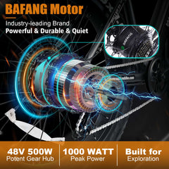 Wallke F2 Electric Bike with 26*4.0 Inch CST Fat Tire Wallke F2 Electric Bike with 26*4.0 Inch CST Fat Tire