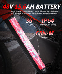 TX19 Battery, 48V 15.6AH