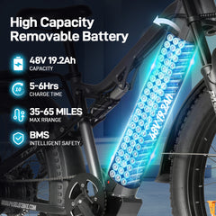 PASELEC TX29 1500W Peak Dual Motor 27.5"*3.0 eMTB