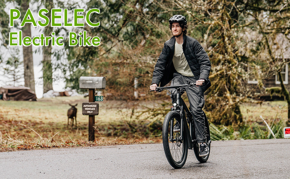 Paselec ebike online