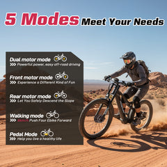 PASELEC TX29 1500W Peak Dual Motor 27.5"*3.0 eMTB