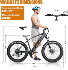 Wallke F2 Electric Bike with 26*4.0 Inch CST Fat Tire