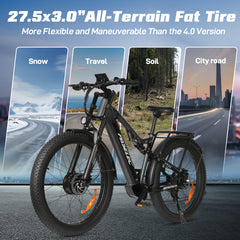 PASELEC TX29 1500W Peak Dual Motor 27.5"*3.0 eMTB