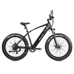 Wallke F2 Electric Bike with 26*4.0 Inch CST Fat Tire