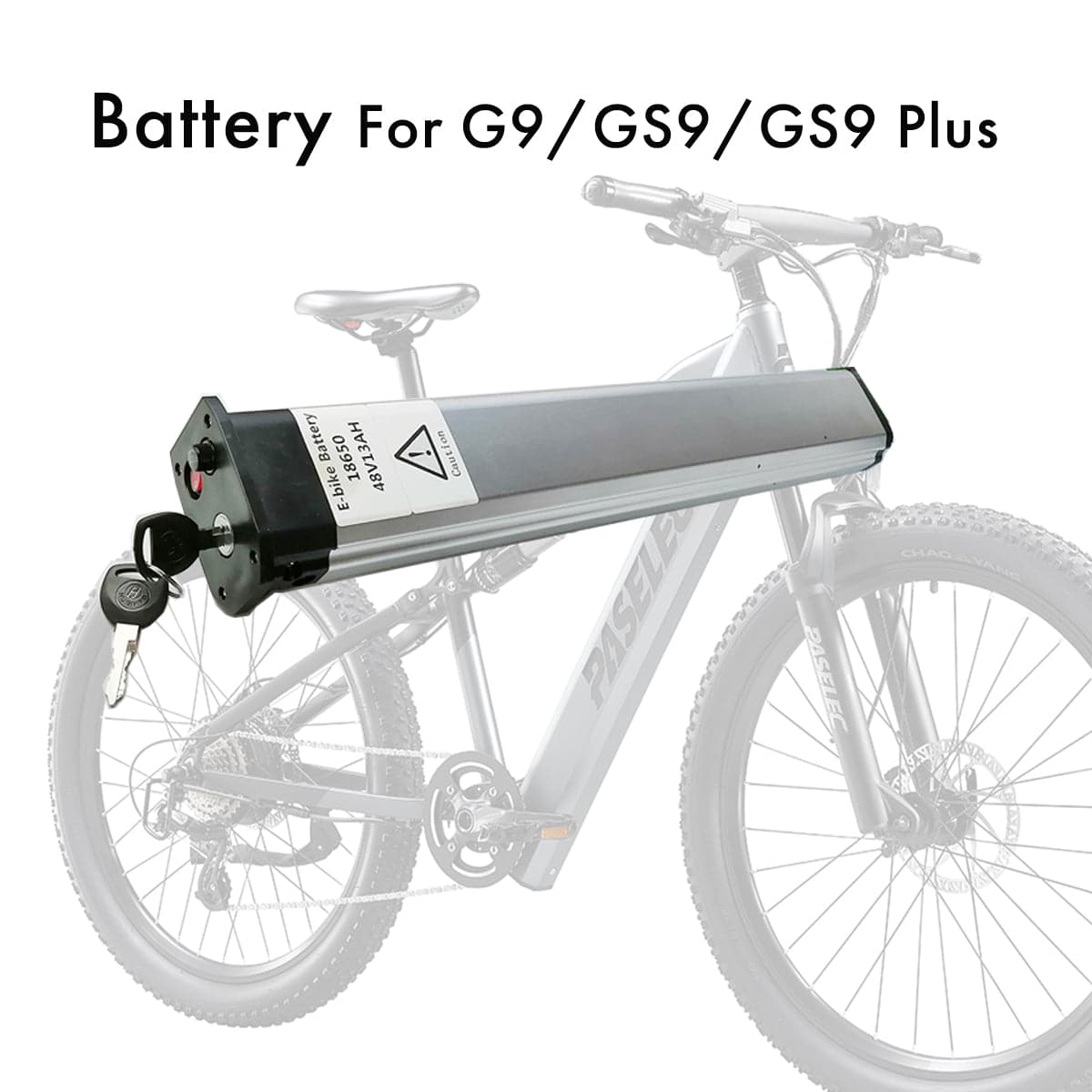 G9 GS9 GS9Plus Battery, 48V 13AH with 8 Protection,Lithium Batteries for Electric Bike